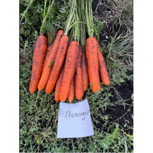 Фламинго F1(12 шт.)