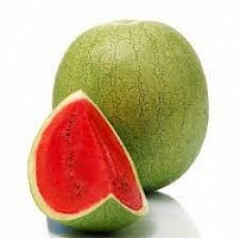 Арбуз Эль Уаффи (6шт)
