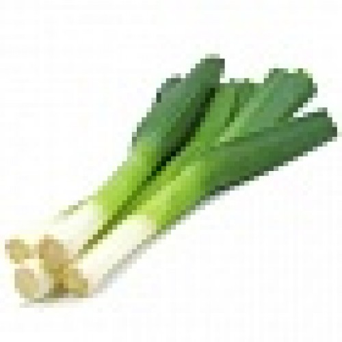 Лук Порей Колумбус F1 (120 шт.)