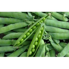 Горох Компана F1 (30г)