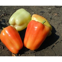 Перец Фламинго F1(12 шт.)