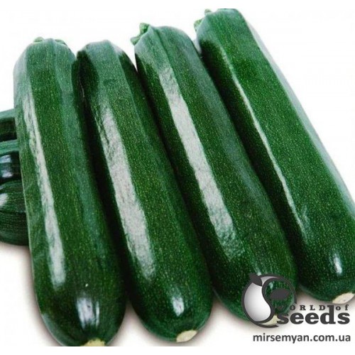 Кабачок Кора  F1(12 шт.)