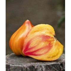 Томат Мадрид F1 (6 шт.)