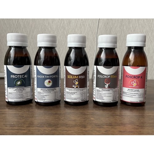 Набор «Рассада»