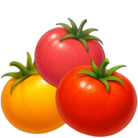 Томат