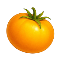 Томат Жёлтый